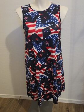 Dress Works Americana Star & Stripe Sleeveless Dress